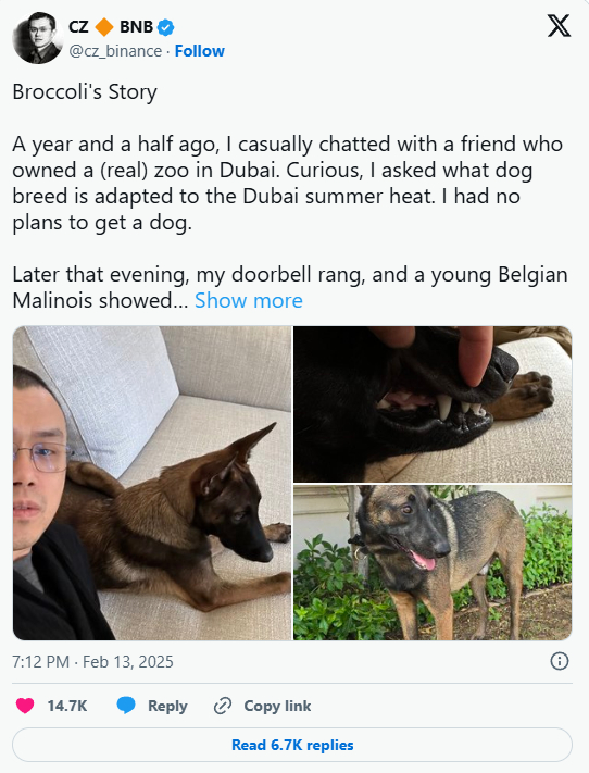 Kripto Dünyasının Renkli İsmi CZ’den Köpeğine Yönelik Sürpriz Bir Açıklama