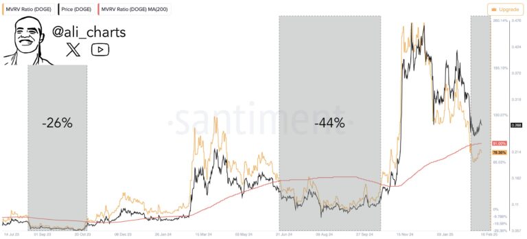 Dogecoin (DOGE) Fiyatındaki Son Durum ve Piyasa Etkileri