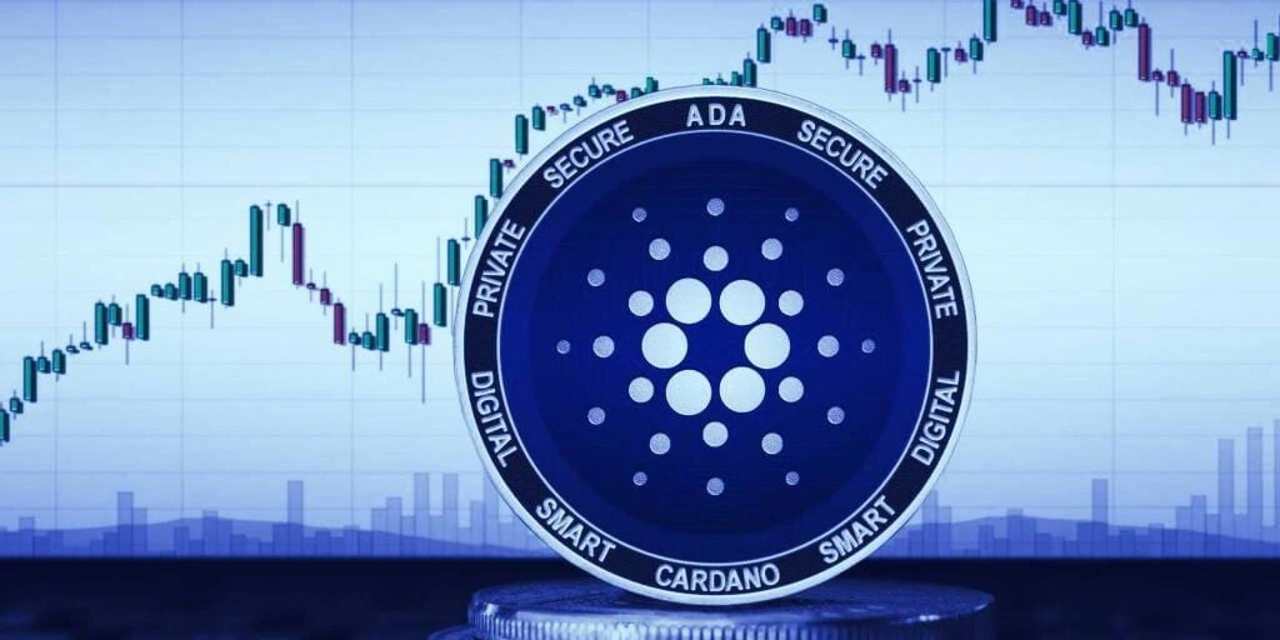 Kripto Para Piyasasında 2025 Yılı İçin Öne Çıkan Altcoinler