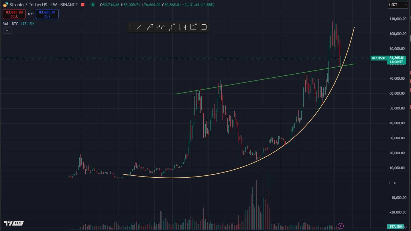 Balinaların Bitcoin Birikimi ve Uzun Vadeli Güven